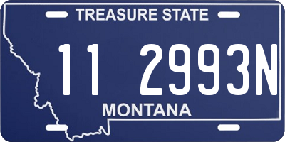 MT license plate 112993N