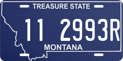 MT license plate 112993R