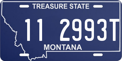 MT license plate 112993T