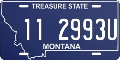 MT license plate 112993U