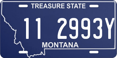 MT license plate 112993Y