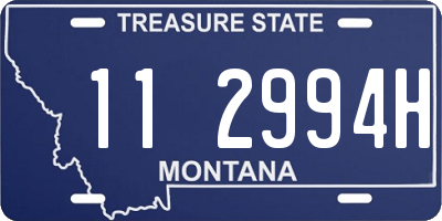 MT license plate 112994H