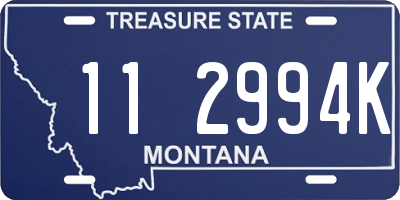 MT license plate 112994K