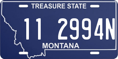 MT license plate 112994N