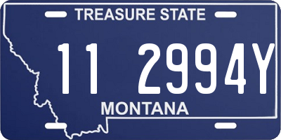 MT license plate 112994Y