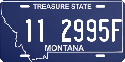 MT license plate 112995F