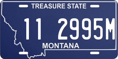 MT license plate 112995M