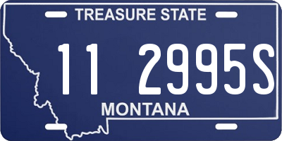 MT license plate 112995S