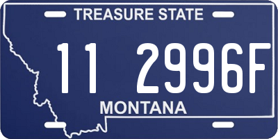 MT license plate 112996F