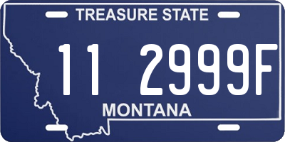 MT license plate 112999F