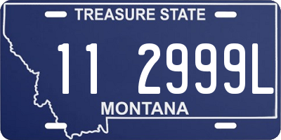 MT license plate 112999L