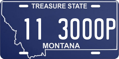 MT license plate 113000P