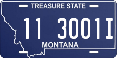 MT license plate 113001I