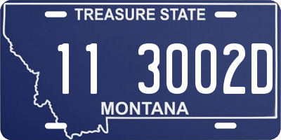 MT license plate 113002D