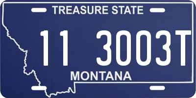 MT license plate 113003T