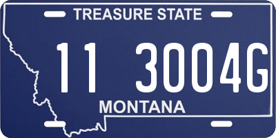 MT license plate 113004G