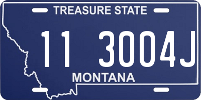 MT license plate 113004J