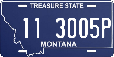 MT license plate 113005P