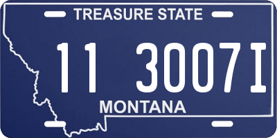 MT license plate 113007I