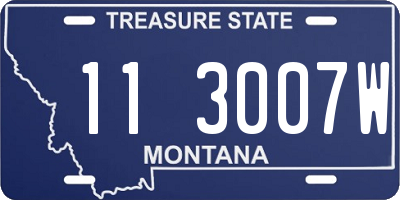 MT license plate 113007W