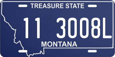 MT license plate 113008L