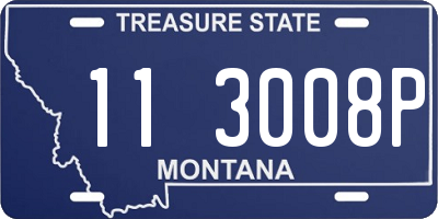 MT license plate 113008P