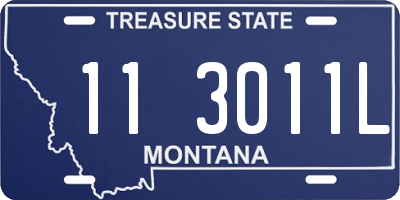 MT license plate 113011L