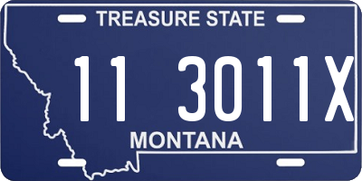 MT license plate 113011X