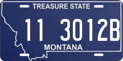 MT license plate 113012B