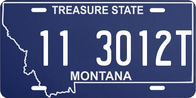 MT license plate 113012T