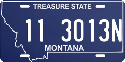 MT license plate 113013N