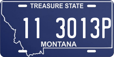 MT license plate 113013P