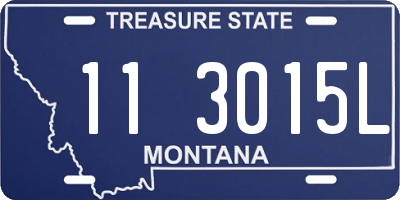 MT license plate 113015L