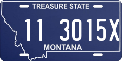 MT license plate 113015X