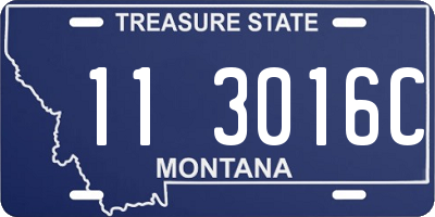 MT license plate 113016C