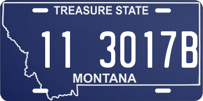MT license plate 113017B