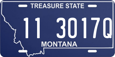 MT license plate 113017Q