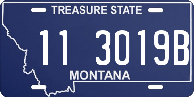 MT license plate 113019B
