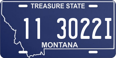 MT license plate 113022I