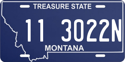 MT license plate 113022N