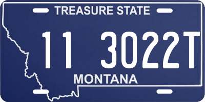 MT license plate 113022T