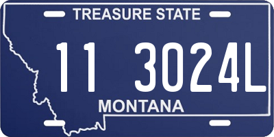 MT license plate 113024L