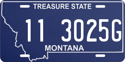 MT license plate 113025G