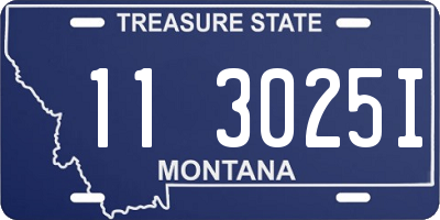 MT license plate 113025I