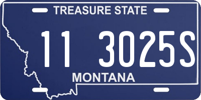 MT license plate 113025S