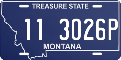 MT license plate 113026P