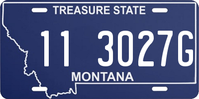 MT license plate 113027G