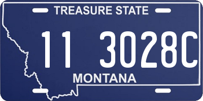 MT license plate 113028C