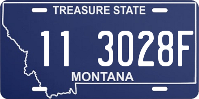 MT license plate 113028F