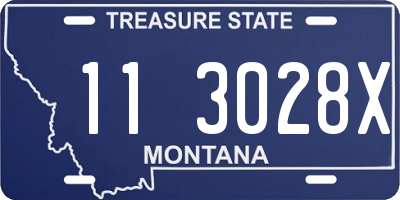 MT license plate 113028X